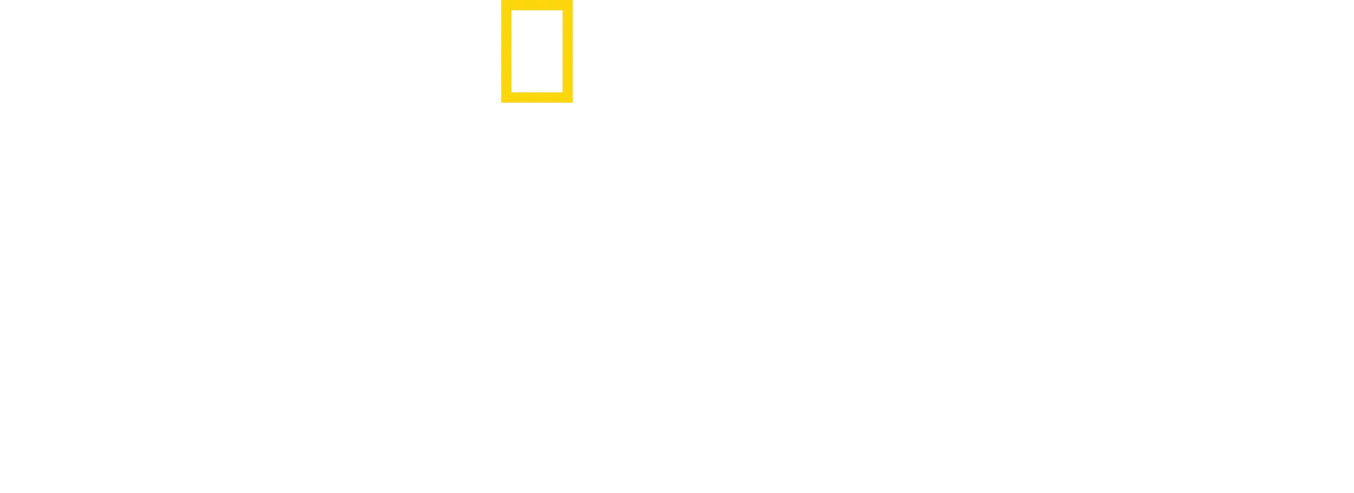Limitless: Live Better Now