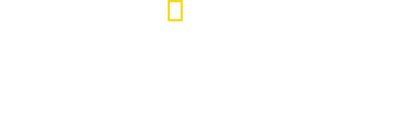 致命咬痕