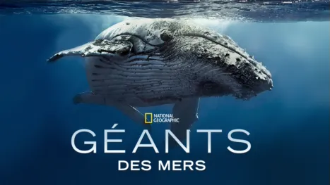 thumbnail - Géants des mers