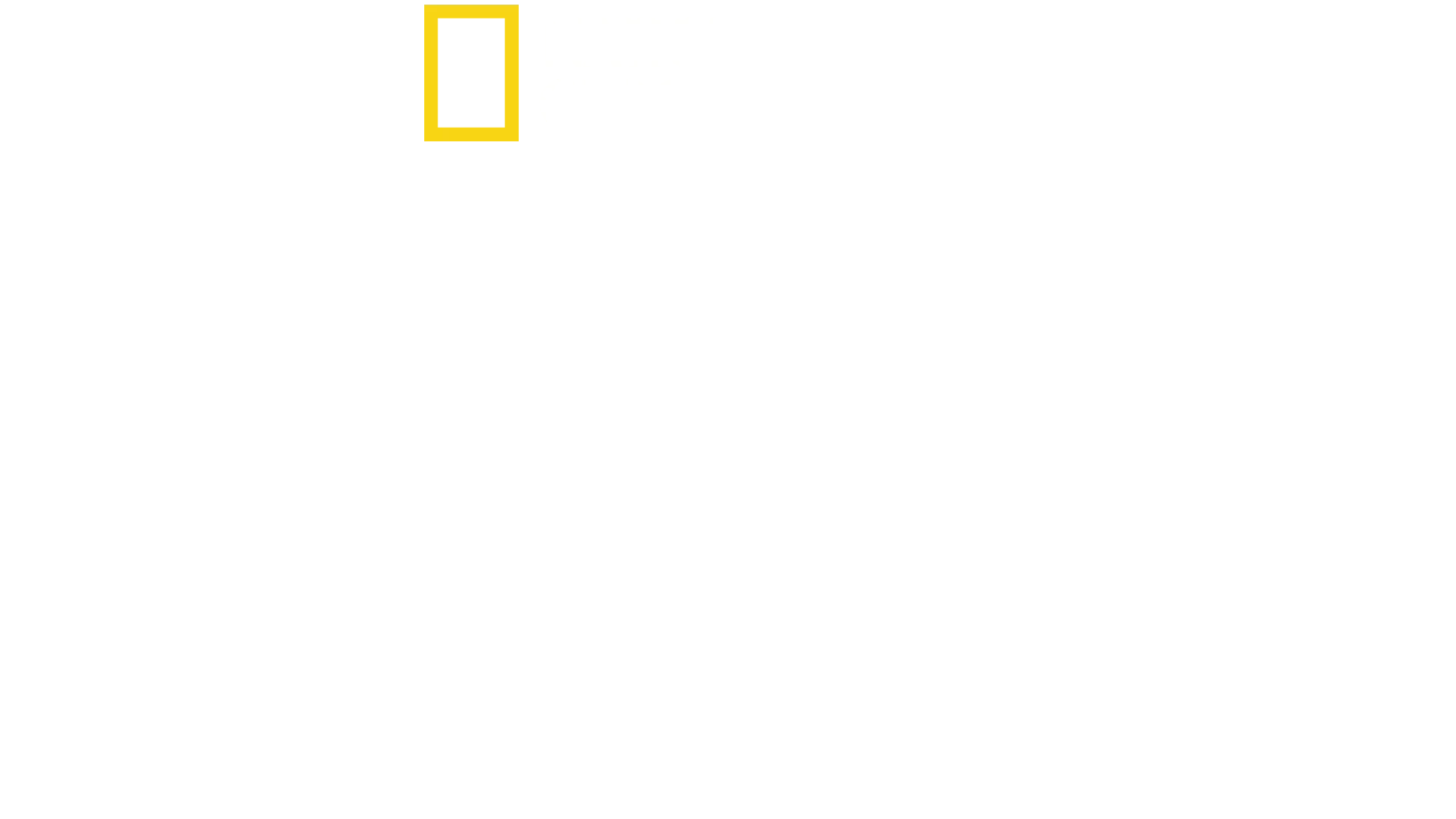 Ciudades Perdidas con Albert Lin