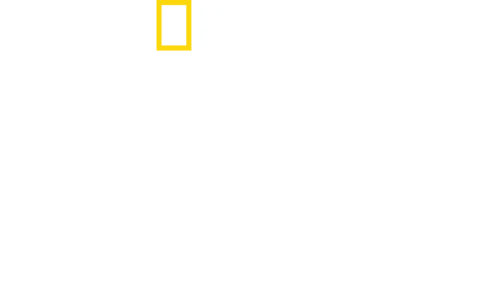Ciudades Perdidas con Albert Lin