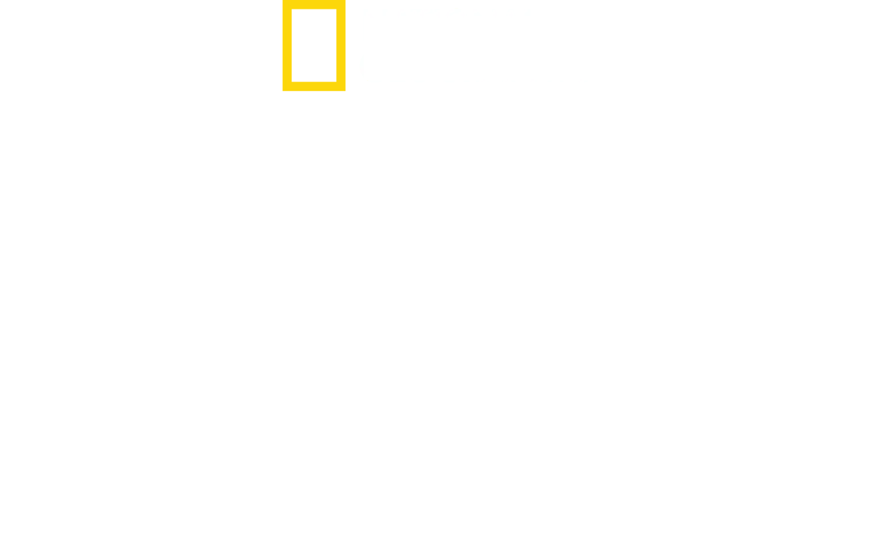 Ciudades perdidas con Albert Lin
