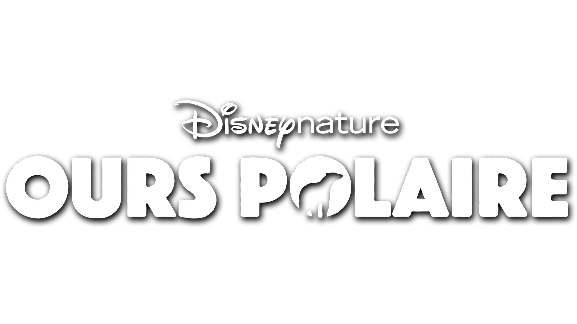 Ours polaire
