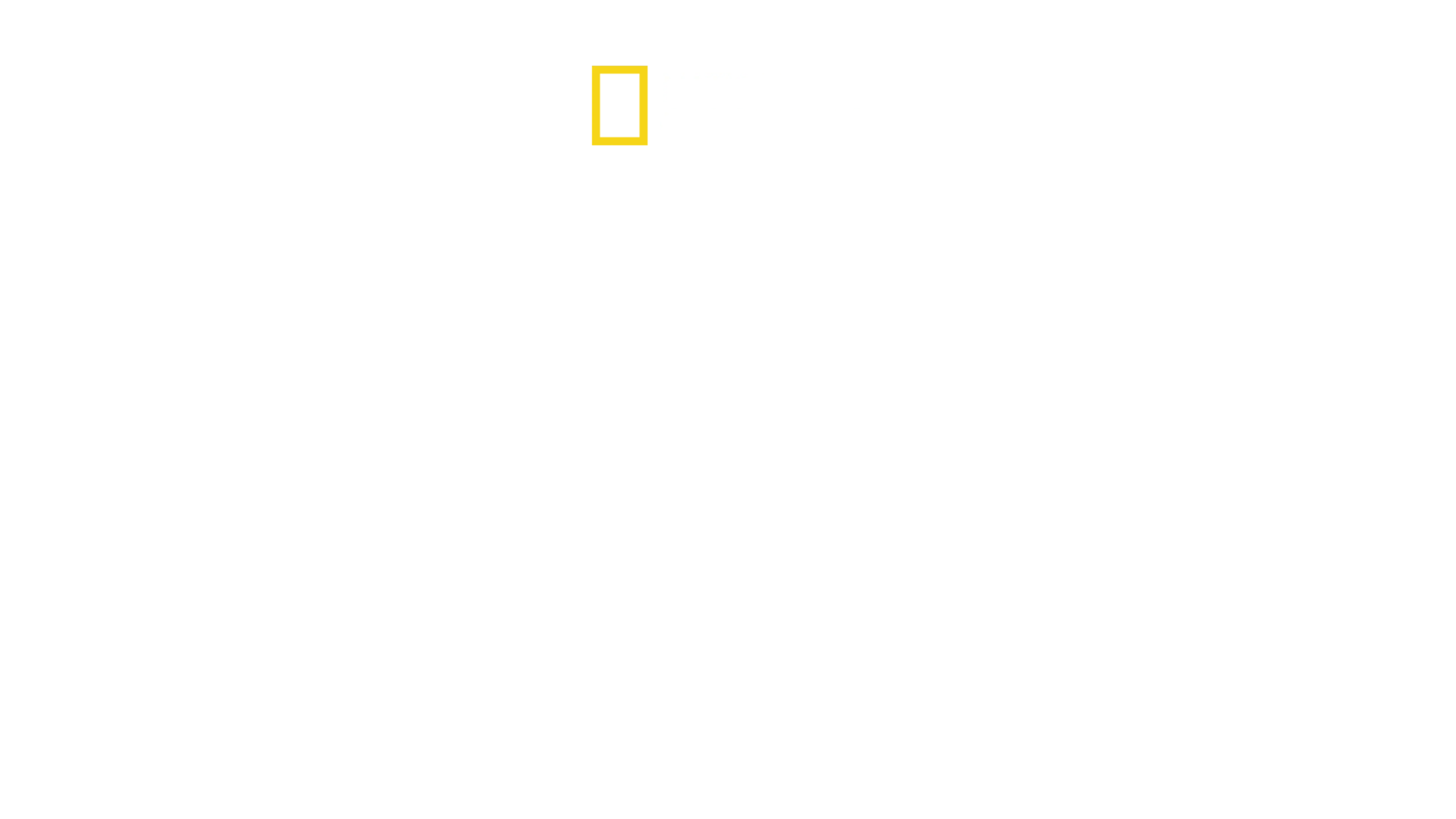Bobi Wine: Il presidente del ghetto