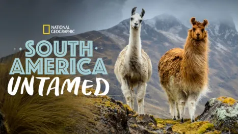 thumbnail - South America Untamed