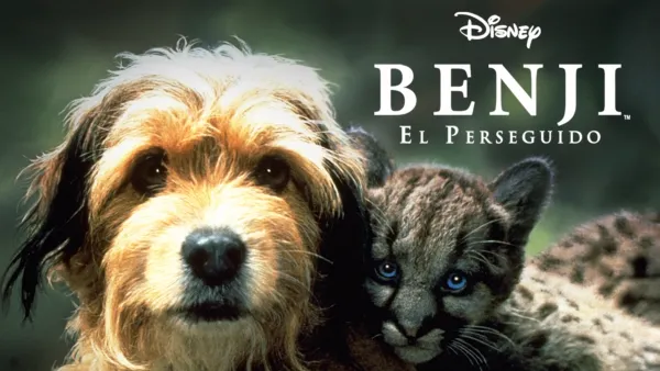 thumbnail - Benji el perseguido