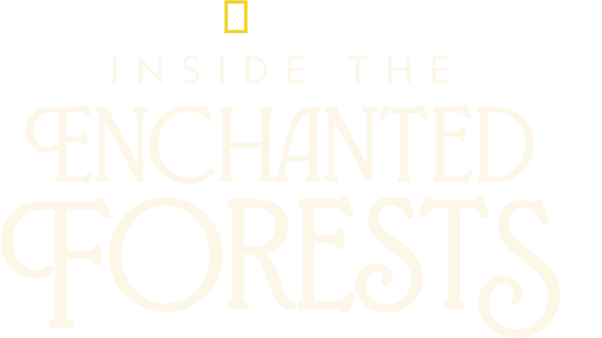 Inside the Enchanted Forests