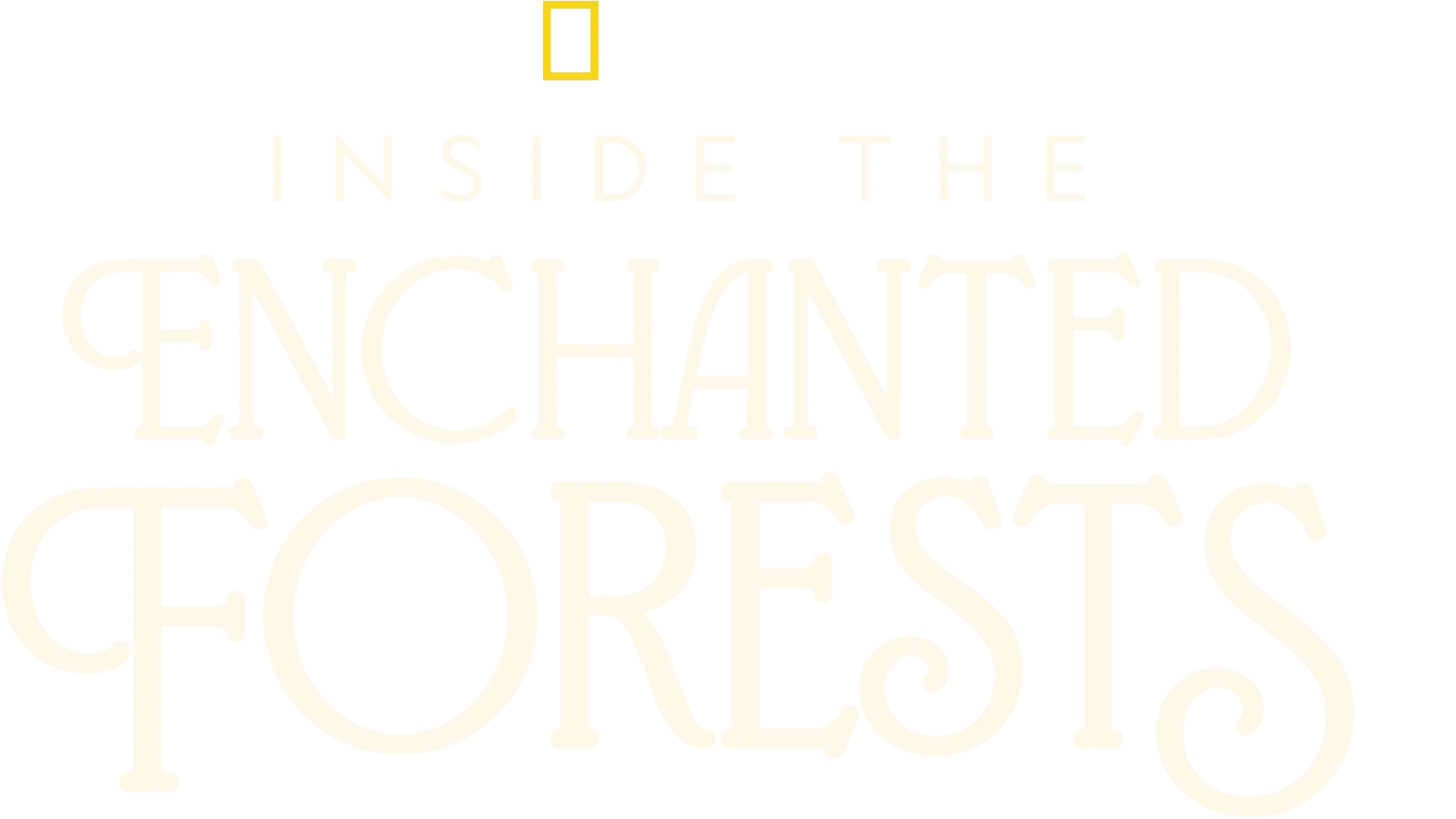 Inside the Enchanted Forests