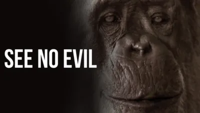 See No Evil