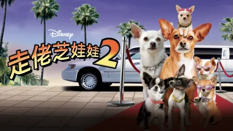 thumbnail - 走佬芝娃娃2