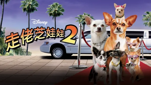 thumbnail - 走佬芝娃娃2