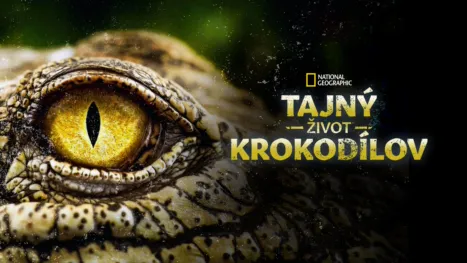 thumbnail - Tajný život krokodílov