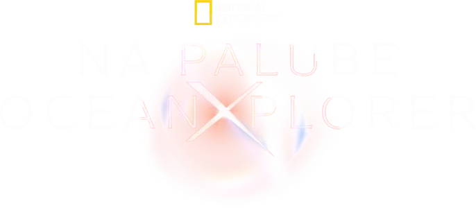 Na palube OceanXplorer