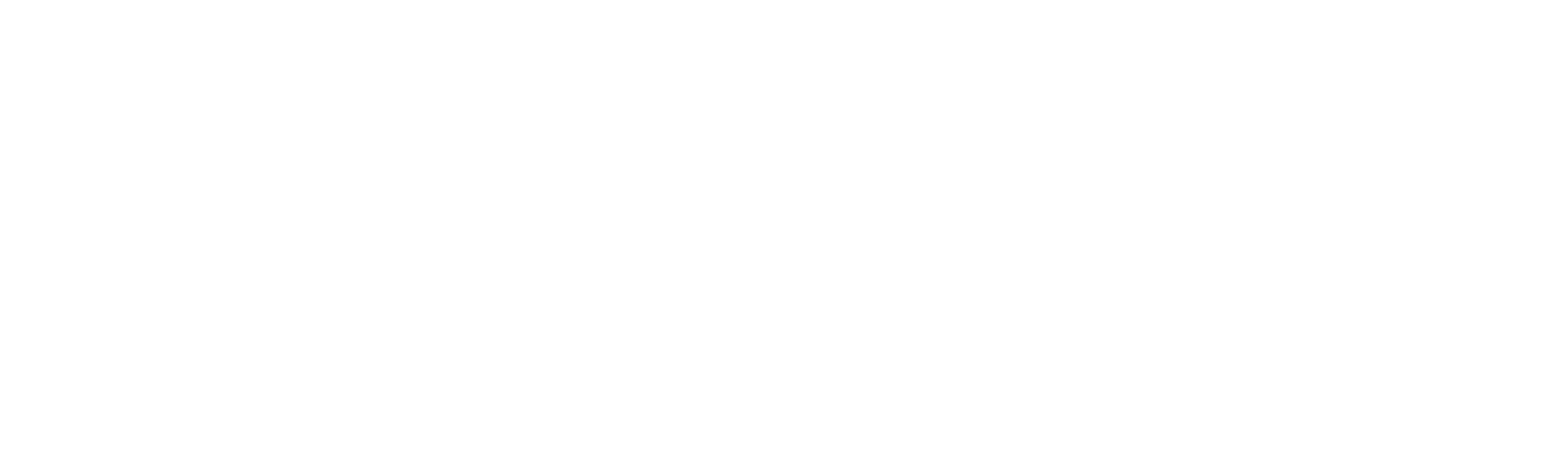 Drachenkrieger: Das Geheimnis der Wikinger