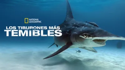 Los tiburones más temibles