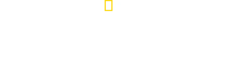 鲨鱼伊甸园