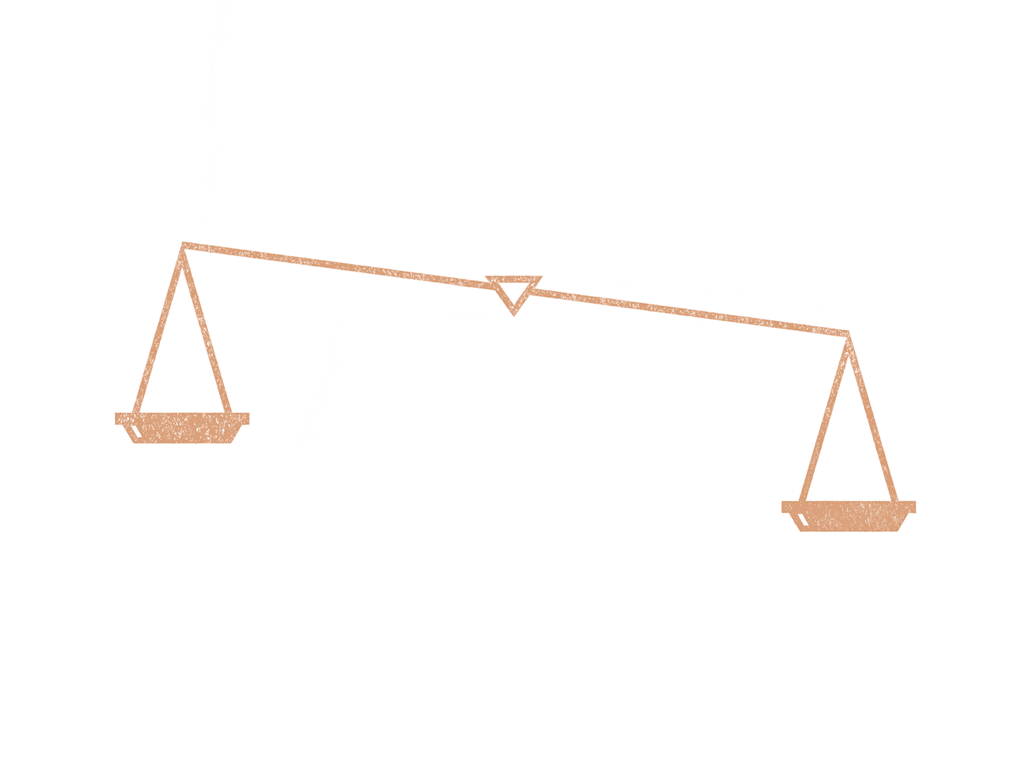 변론을 시작하겠습니다