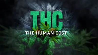 THC: The Human Cost