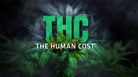 thumbnail - THC: The Human Cost