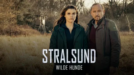 thumbnail - Stralsund - Wilde Hunde