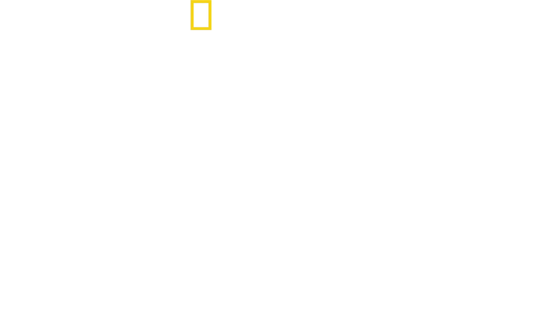 David Blaine: Culisele magiei