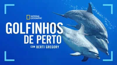 thumbnail - Dolphins Up Close with Bertie Gregory