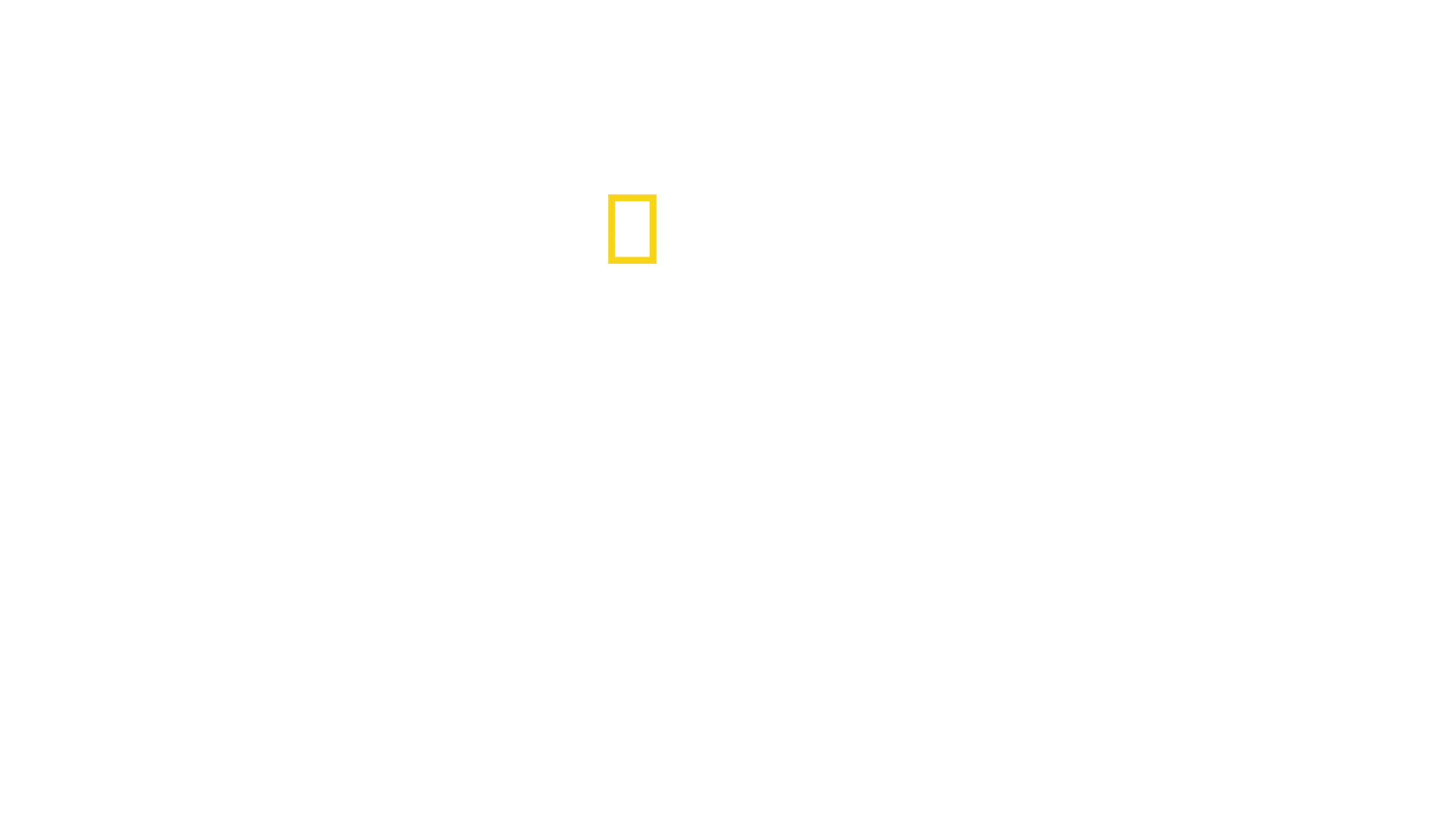 Holocaust: ukryte fakty