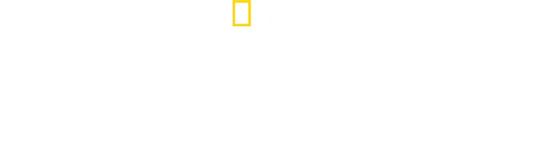 Holocaust: ukryte fakty