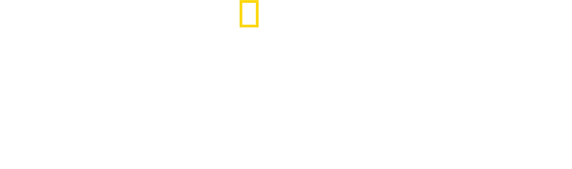 Holocaust: ukryte fakty