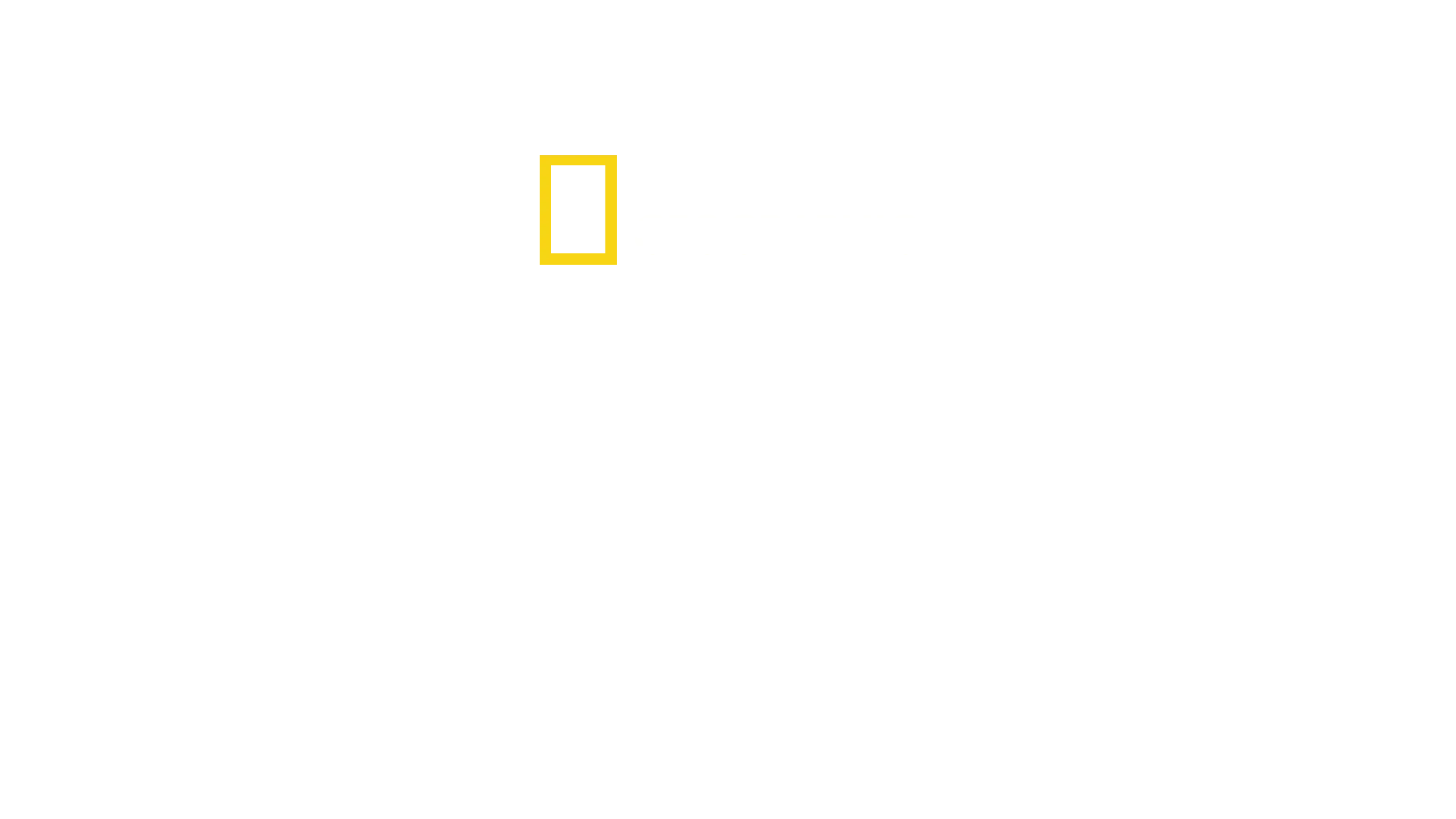 Bez granic: lepsze życie