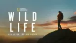 thumbnail - Wild Life: Ein Leben für die Natur