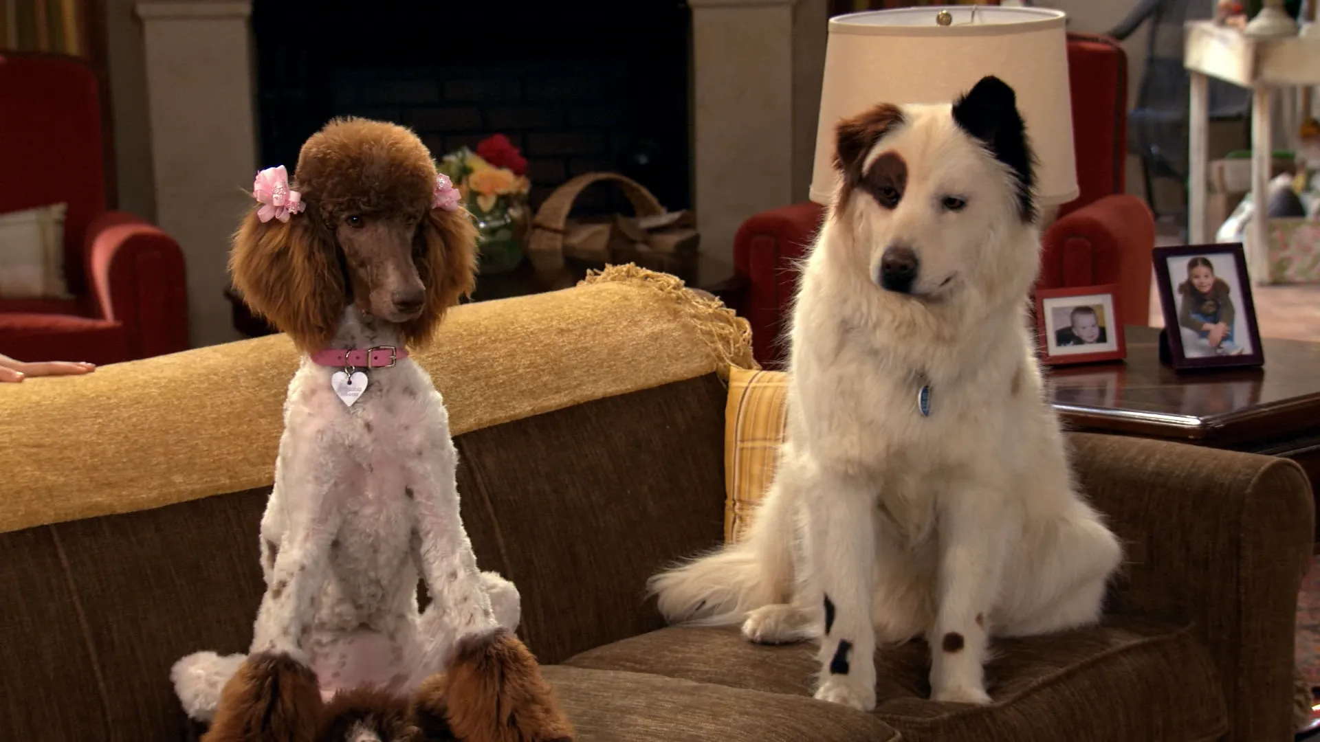 thumbnail - S3:E4 Stan Falls in Love