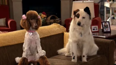 thumbnail - S3:E4 Stan Falls in Love