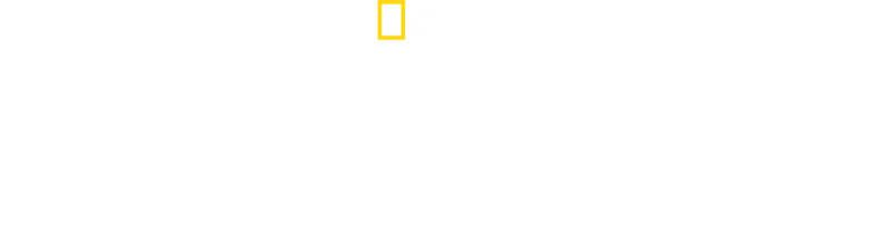 Arctic Ascent with Alex Honnold