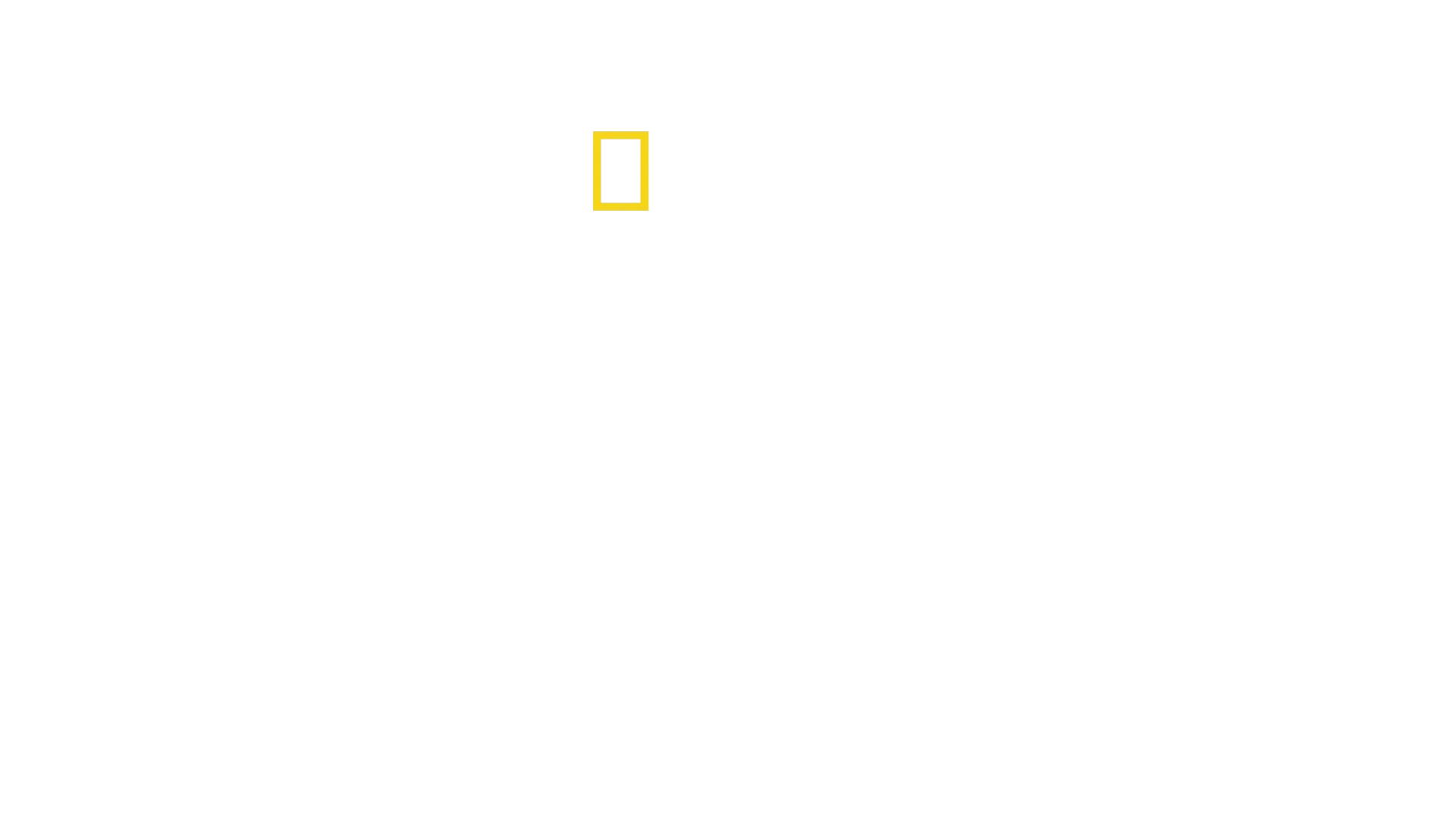 World Eats Bread