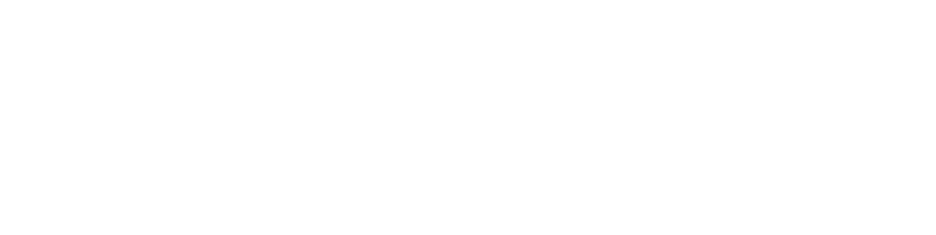 Diário de Estrada: Bruce Springsteen and The E Street Band