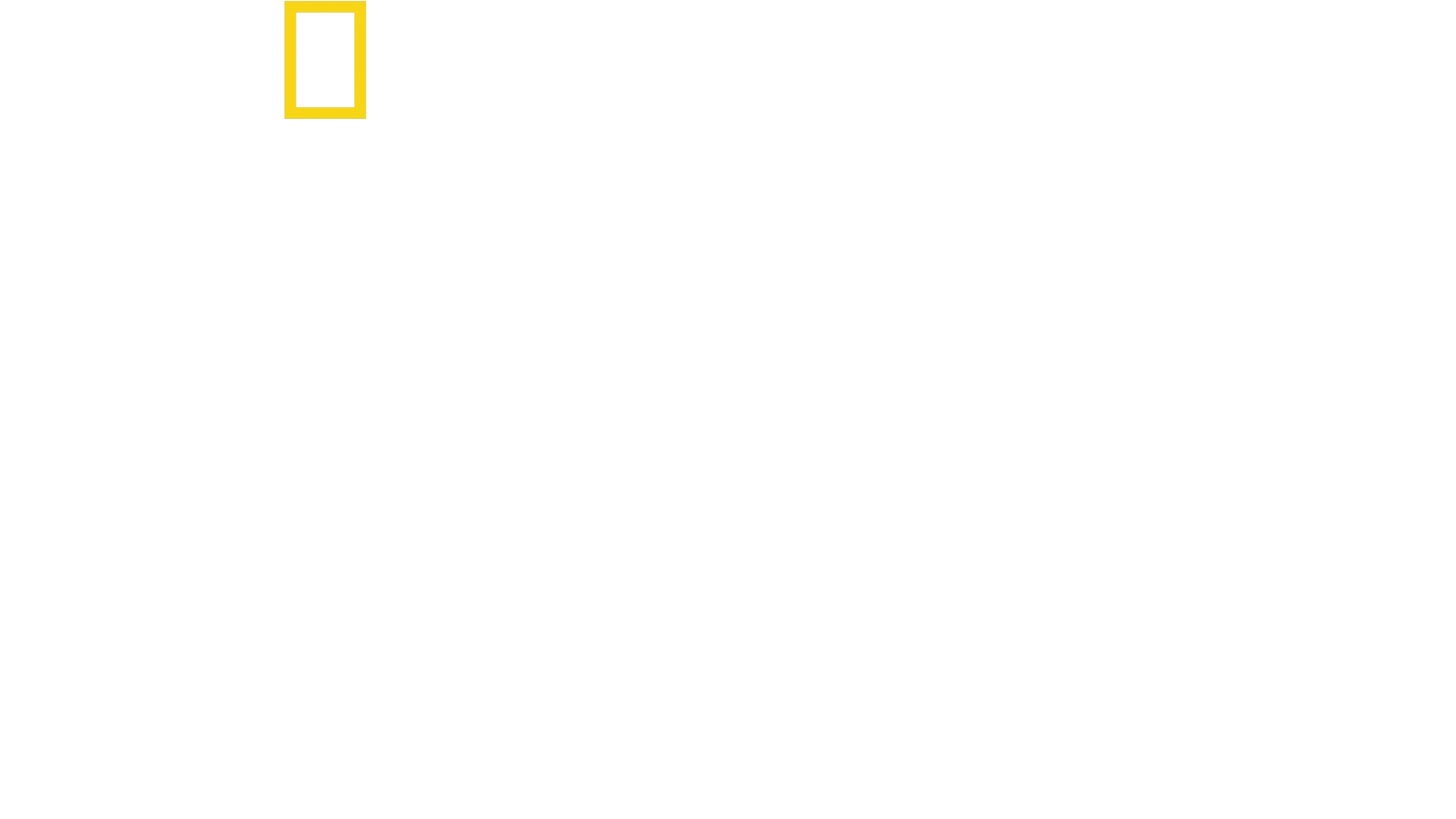 Lost in the Jungle - 40 Tage Überleben