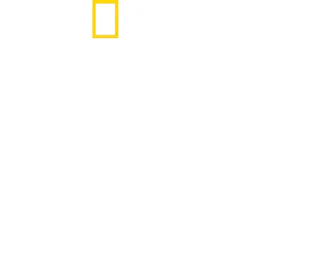 Lost in the Jungle - 40 Tage Überleben