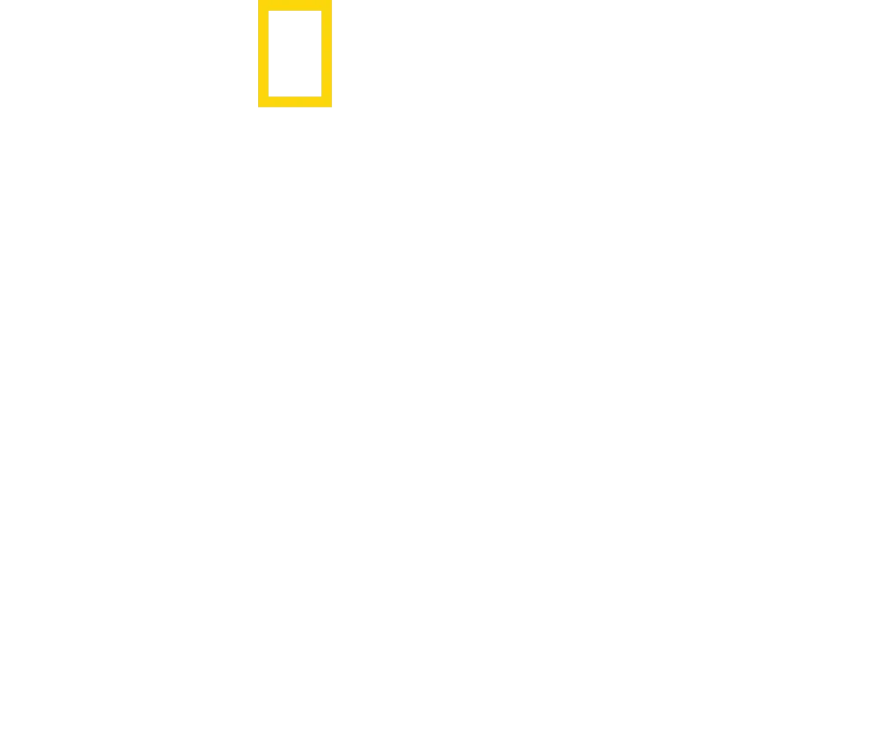 Lost in the Jungle - 40 Tage Überleben