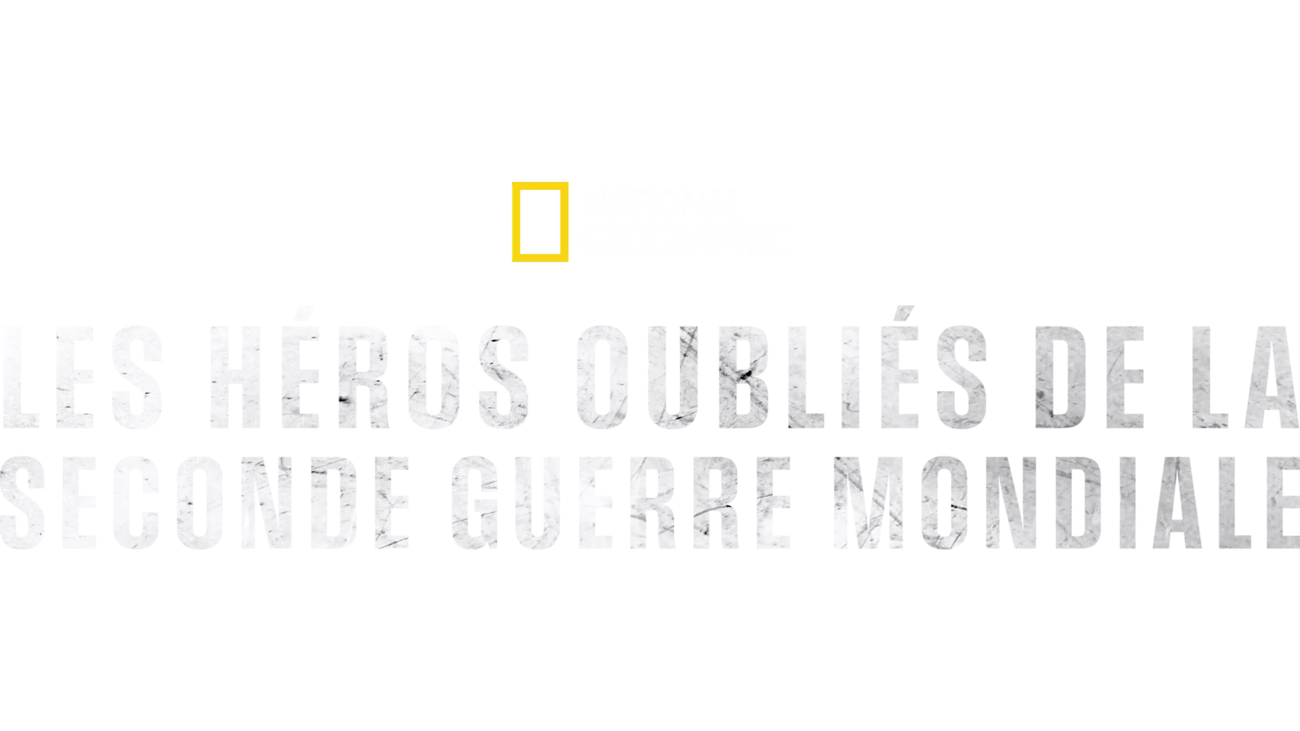 Les héros oubliés de la Seconde Guerre mondiale