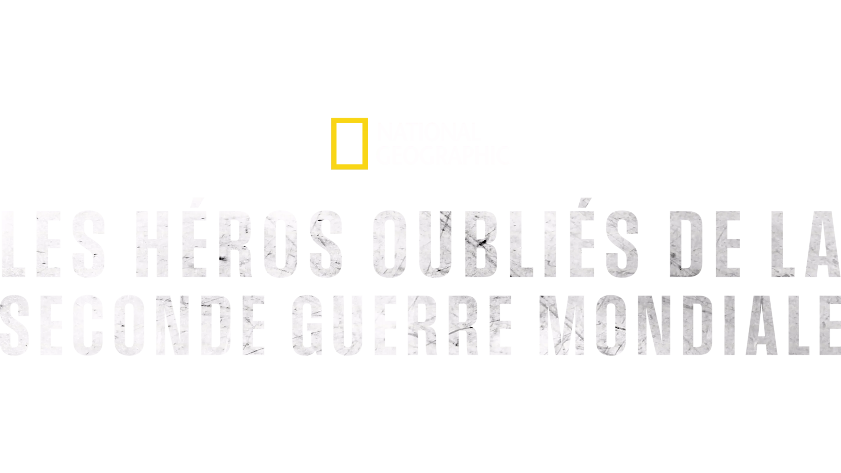 Les héros oubliés de la Seconde Guerre mondiale