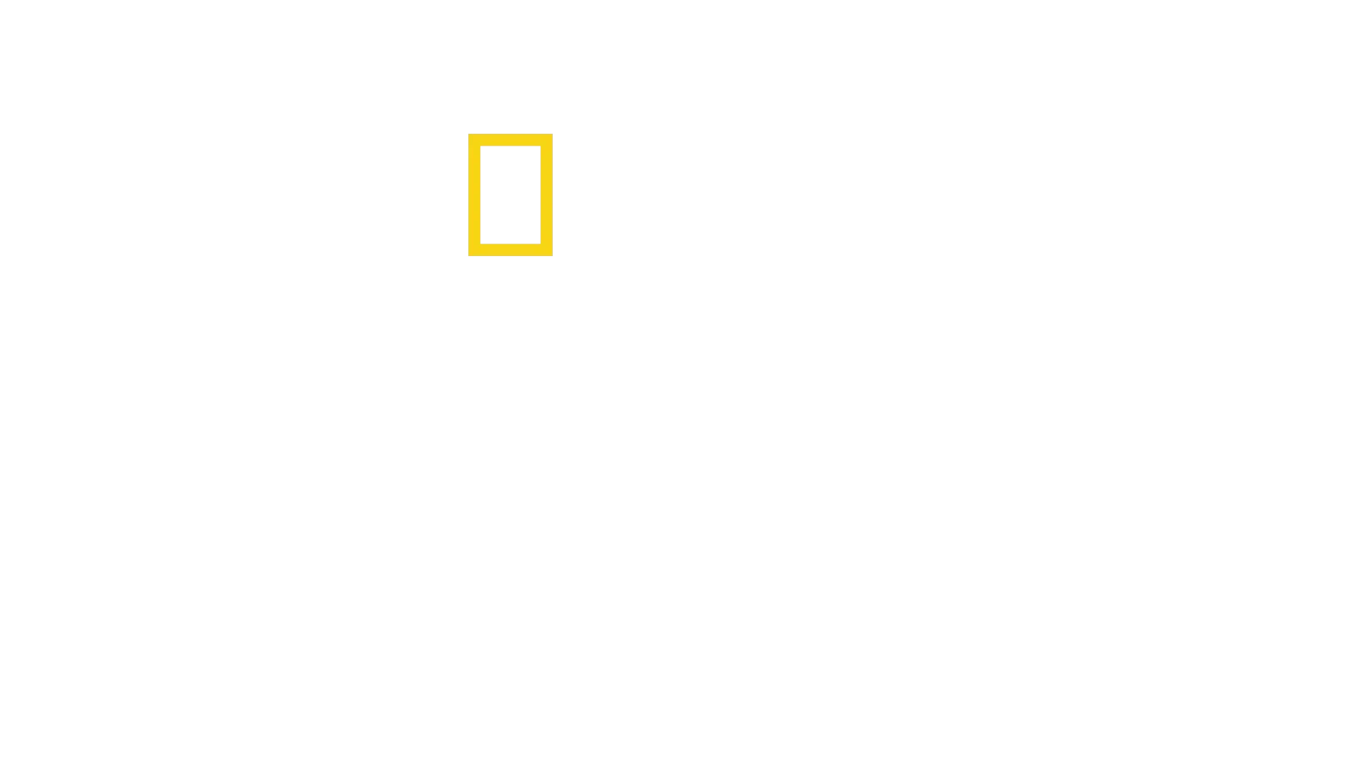 Tapte byer med Albert Lin