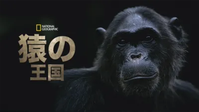 猿の王国