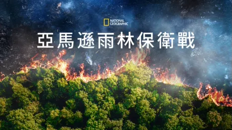thumbnail - 亞馬遜雨林保衛戰