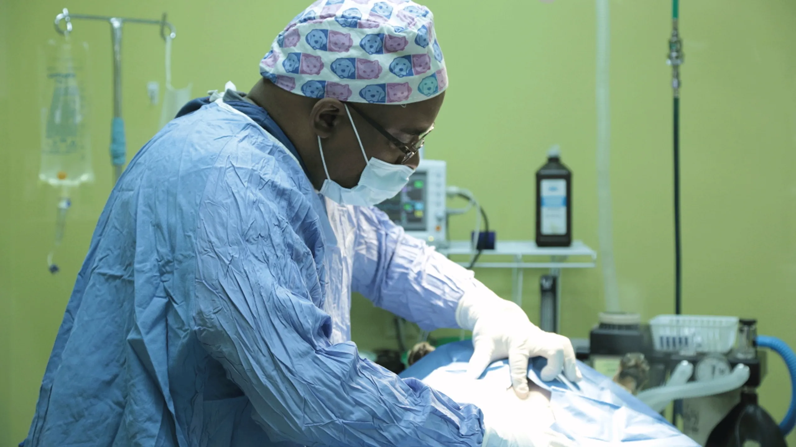 thumbnail - S1:E3 All Paws On Deck