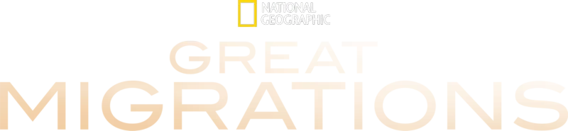 Great Migrations: Original Edition