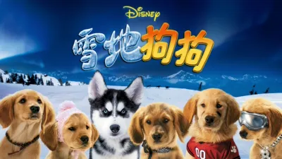 雪地狗狗