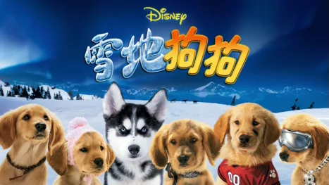 thumbnail - 雪地狗狗