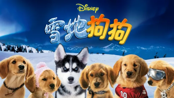 thumbnail - 雪地狗狗