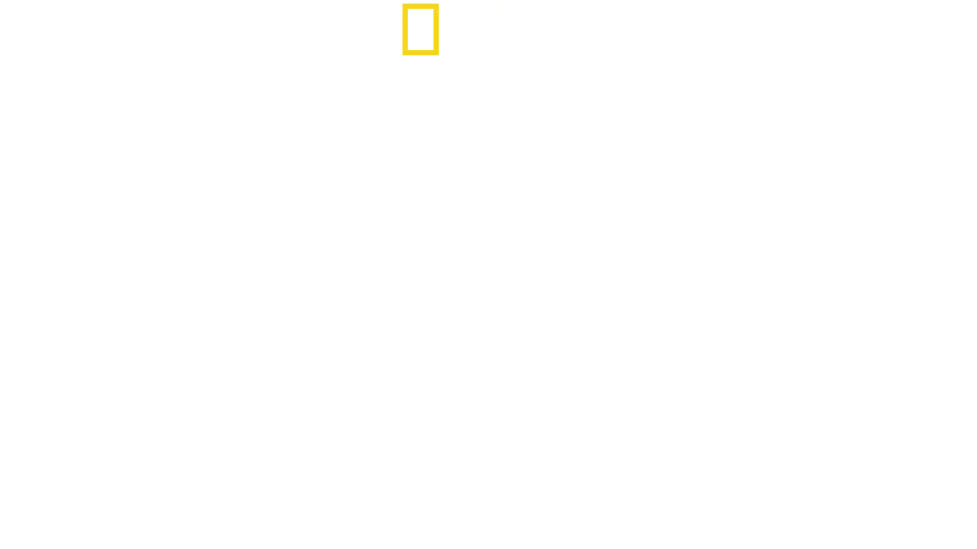 Sud America: Gli animali più strani